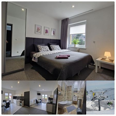 Willa Lawenda Apartament 2 Rytro Εξωτερικό φωτογραφία